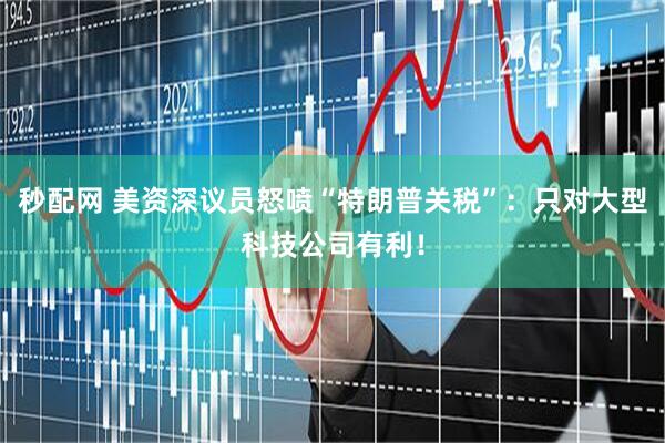 秒配网 美资深议员怒喷“特朗普关税”：只对大型科技公司有利！