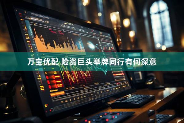 万宝优配 险资巨头举牌同行有何深意
