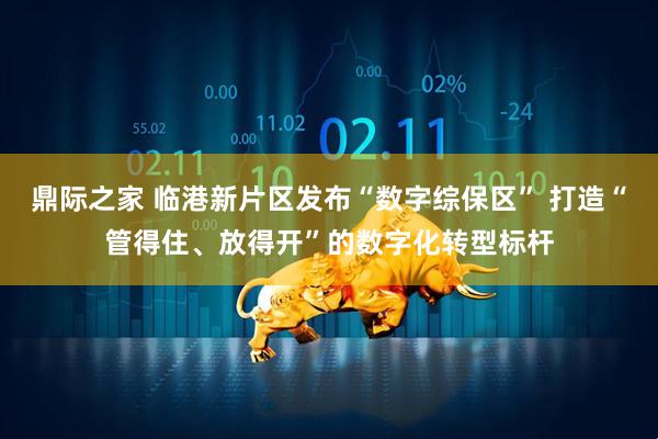 鼎际之家 临港新片区发布“数字综保区” 打造“管得住、放得开”的数字化转型标杆